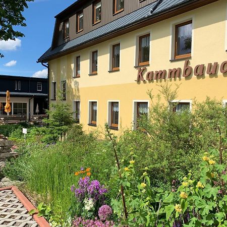 Hotel Dachsbaude&Kammbaude Kurort Seiffen/Erzgebirge Exterior foto