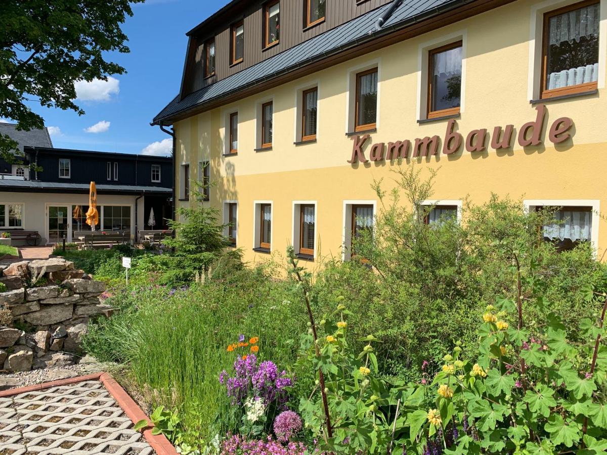 Hotel Dachsbaude&Kammbaude Kurort Seiffen/Erzgebirge Exterior foto