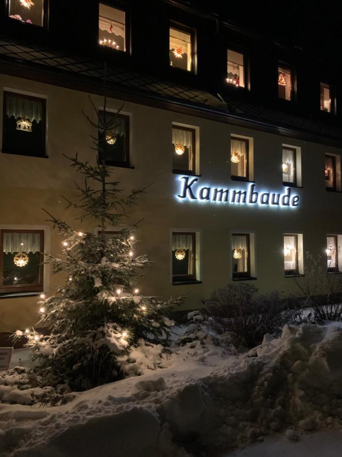 Hotel Dachsbaude&Kammbaude Kurort Seiffen/Erzgebirge Exterior foto